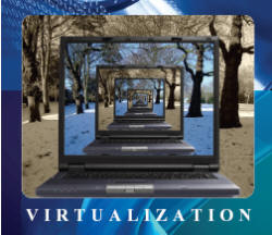 Hardware BIOS settings for VMware vSphere®